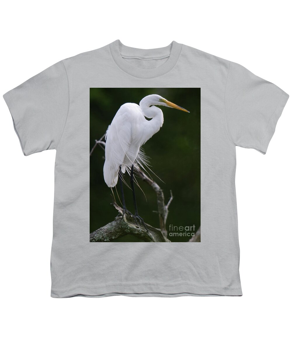 Great Youth T-Shirt featuring the photograph Willowy Great White Heron Perched in Tree by Dale Powell