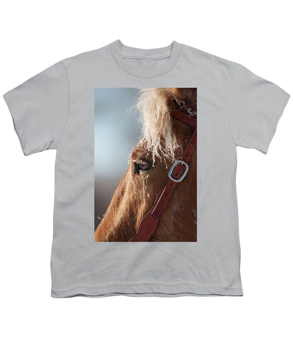 Horse Youth T-Shirt featuring the photograph Winter Mustang Eye by Shawn Hamilton
