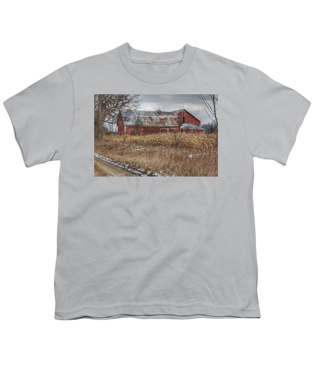 Barn Youth T-Shirt featuring the photograph 0248 - Edward Road Reds by Sheryl L Sutter