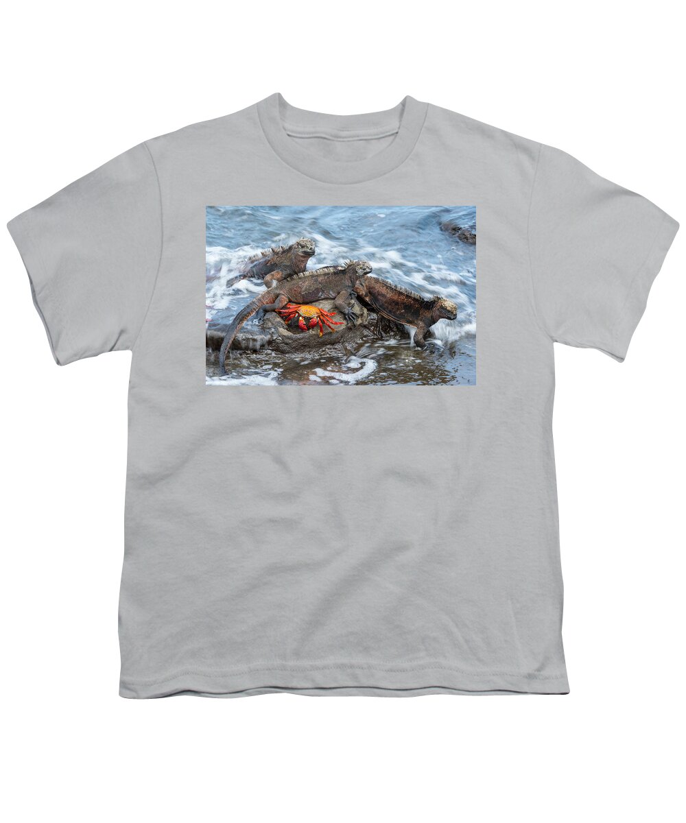 Animal Youth T-Shirt featuring the photograph Marine Iguanas And Sally Lightfoot Crab #1 by Tui De Roy