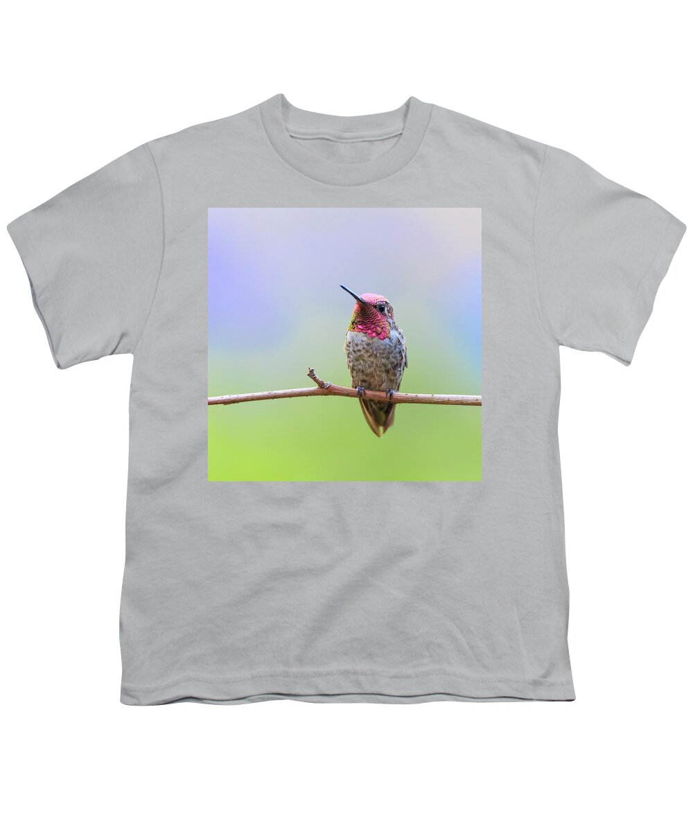 Animal Youth T-Shirt featuring the photograph Midsummer Night's Dream III - Male Anna's Hummingbird #1 by Briand Sanderson