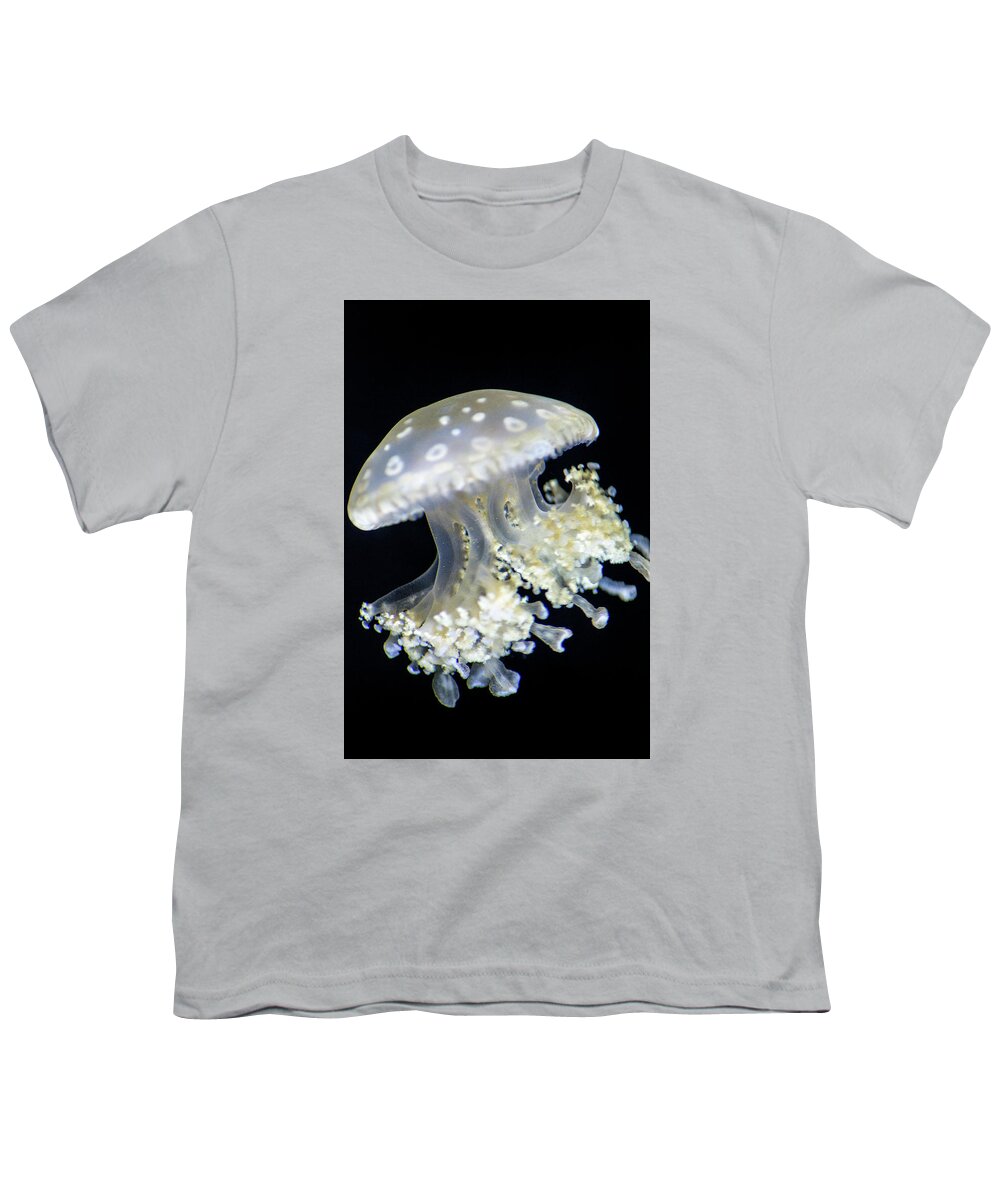 Animals Youth T-Shirt featuring the photograph Jellyfish #2 by Don Johnson