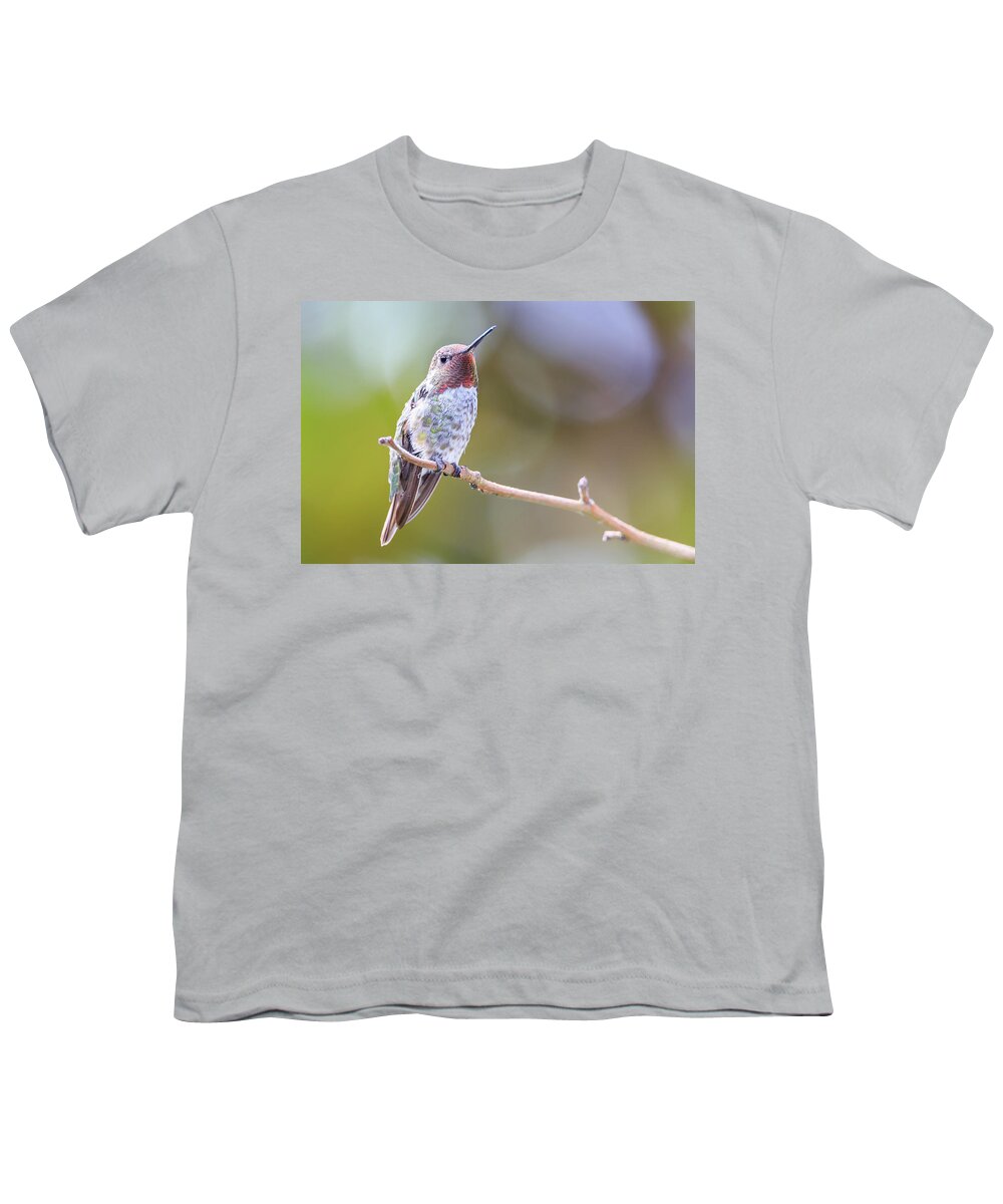 Animal Youth T-Shirt featuring the photograph Male Anna's Hummingbird #4 by Briand Sanderson