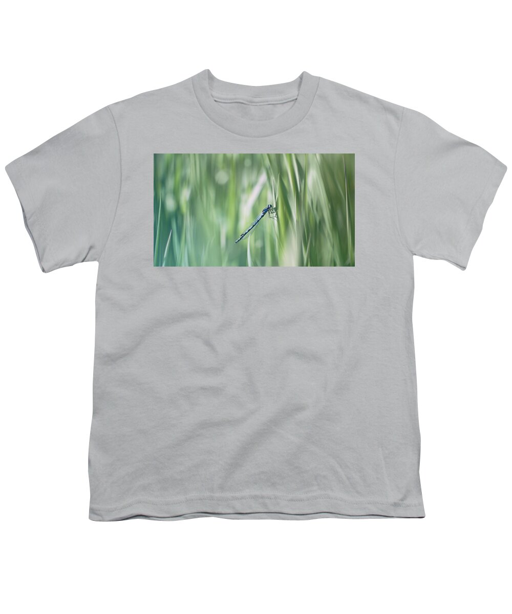 Dragonfly Youth T-Shirt featuring the photograph Around The Meadow 8 by Jaroslav Buna