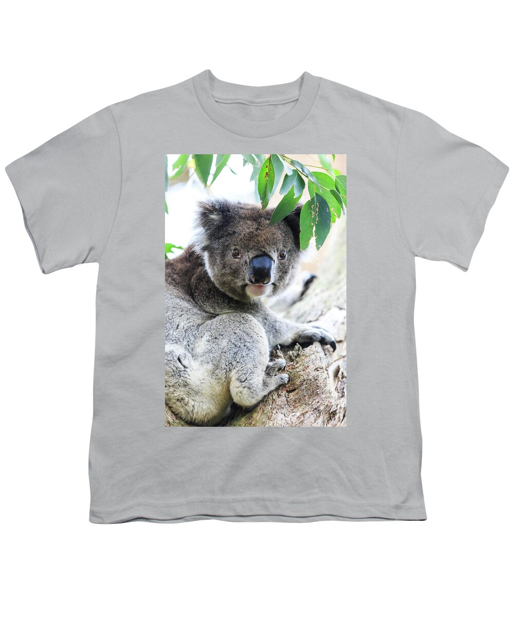 Estock Youth T-Shirt featuring the digital art Australia, Victoria, Oceania, Great Ocean Road, Koala On A Tree In The Otway Park by Maurizio Rellini