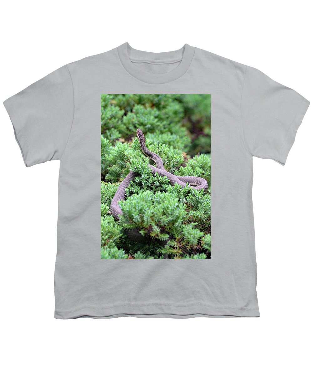 Snake Youth T-Shirt featuring the photograph Bed Fit For A Queen by Jennifer Robin