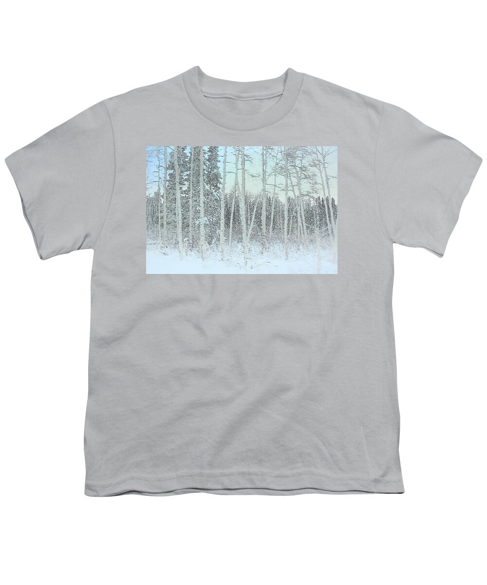 Birches Youth T-Shirt featuring the photograph Birches in Snow by Minnie Gallman