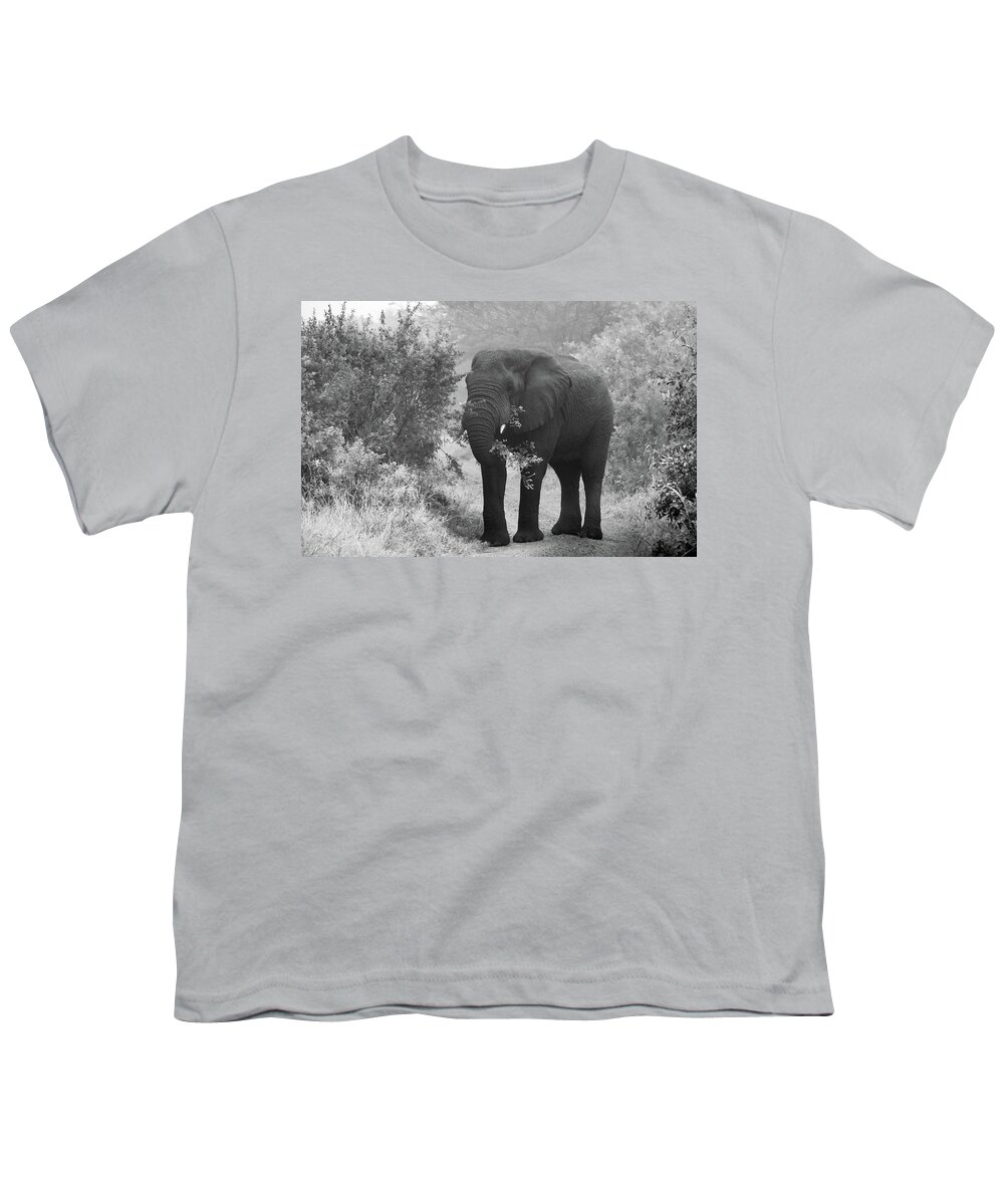 Male Elephant Youth T-Shirt featuring the photograph Breakfast in the African Bush by Marcy Wielfaert