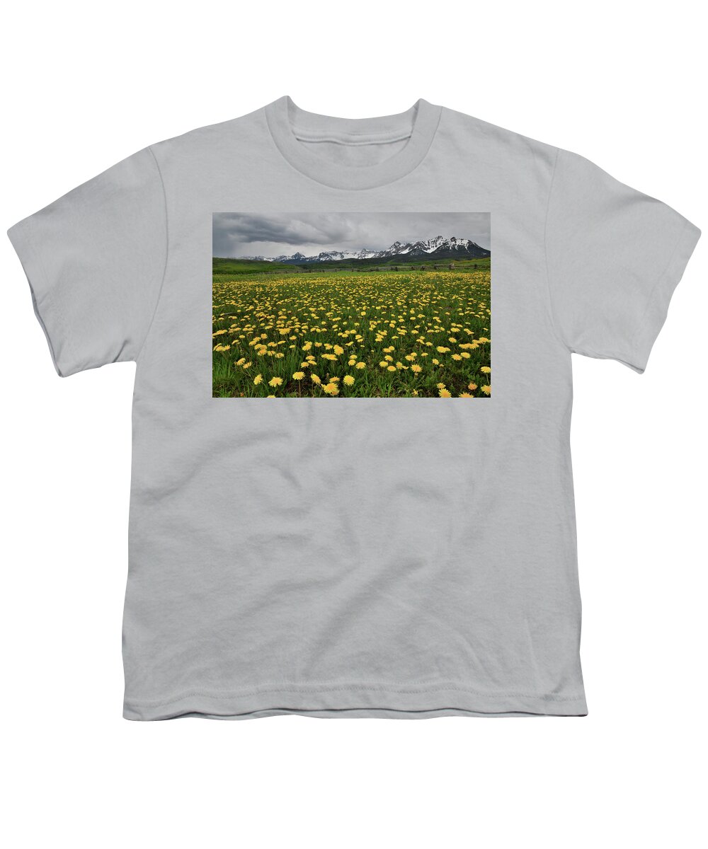Ouray Youth T-Shirt featuring the photograph County Road 58p Dandelions by Ray Mathis