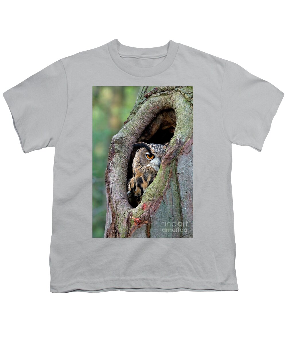 00436048 Youth T-Shirt featuring the photograph Eagle Owl Peering from Nest Cavity by Rob Reijnen