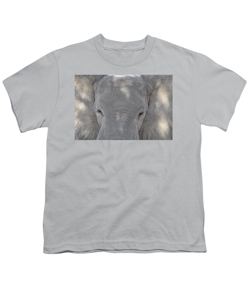Elephant Youth T-Shirt featuring the photograph Elephant Closeup by Ben Foster