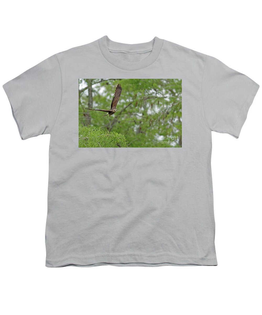 Kite Youth T-Shirt featuring the photograph Snail Kite Takeoff by Natural Focal Point Photography