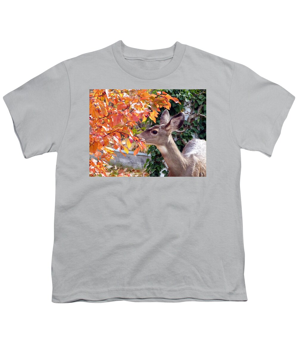 Deer Youth T-Shirt featuring the photograph Tasting The Crabapples by Will Borden
