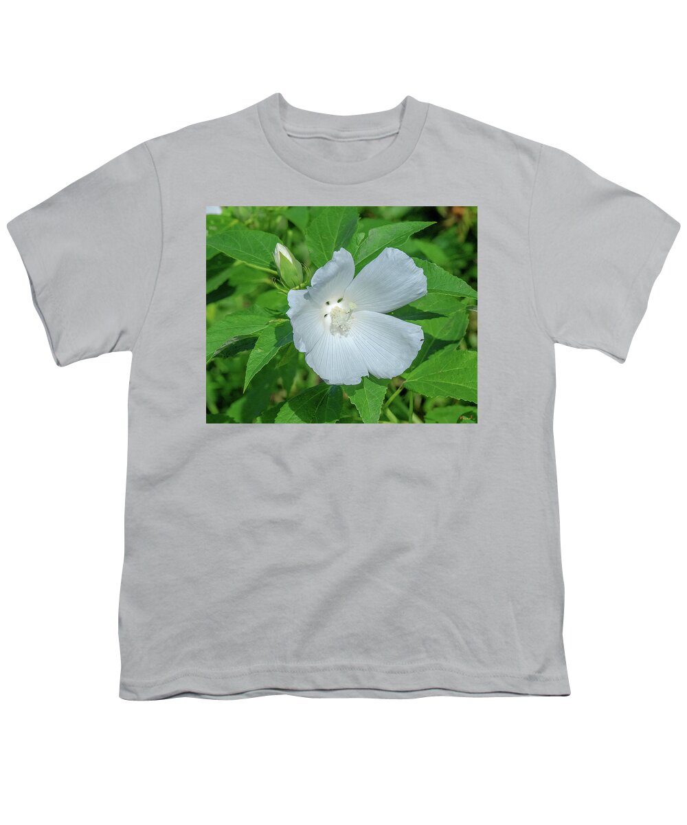 Nature Youth T-Shirt featuring the photograph Very Rare almost All-white Crimson-eyed Rosemallow DFL0995 by Gerry Gantt