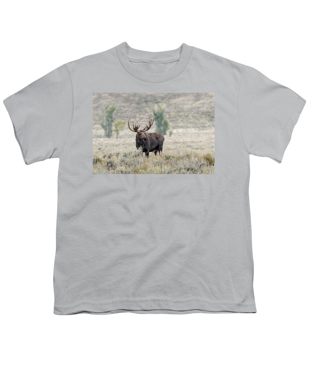 Moose Youth T-Shirt featuring the photograph Where are females by Ronnie And Frances Howard