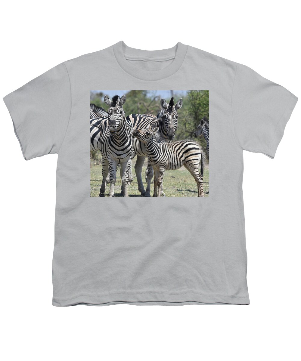 Zebra Youth T-Shirt featuring the photograph Zebra Family by Ben Foster