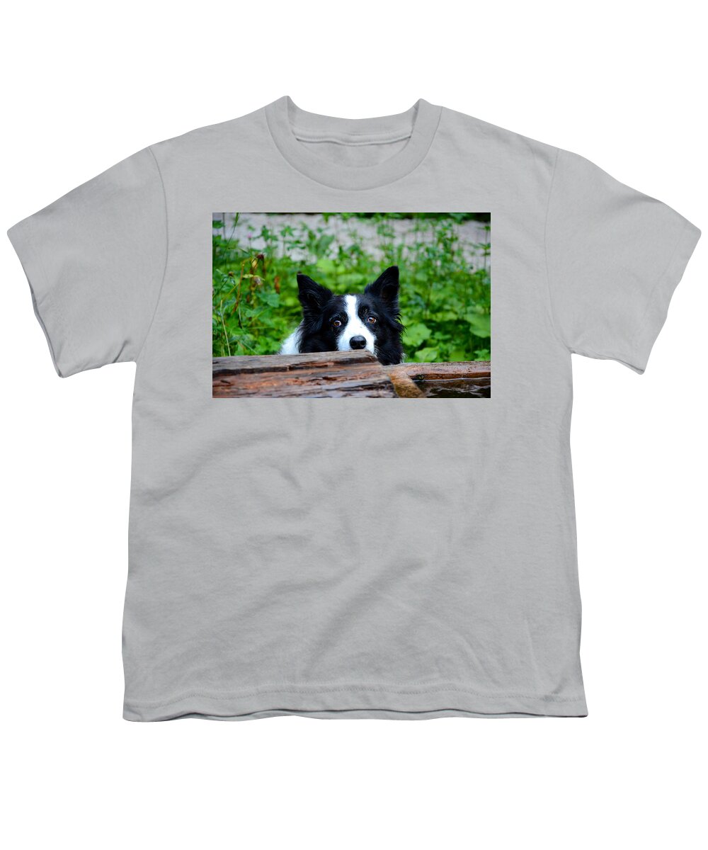 Dog Youth T-Shirt featuring the photograph A border collie is waiting for a task. by Bernhard Schaffer