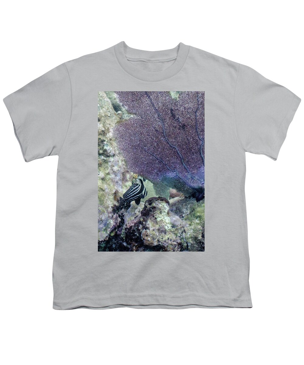 Animals Youth T-Shirt featuring the photograph A Different Drum by Lynne Browne