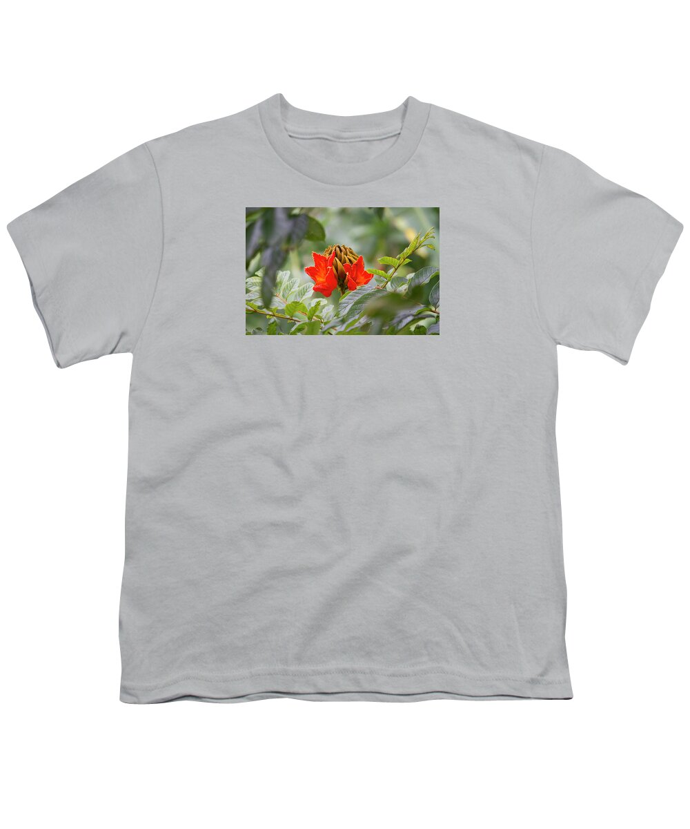Trees Youth T-Shirt featuring the photograph African Tulip Tree Flower by Venetia Featherstone-Witty