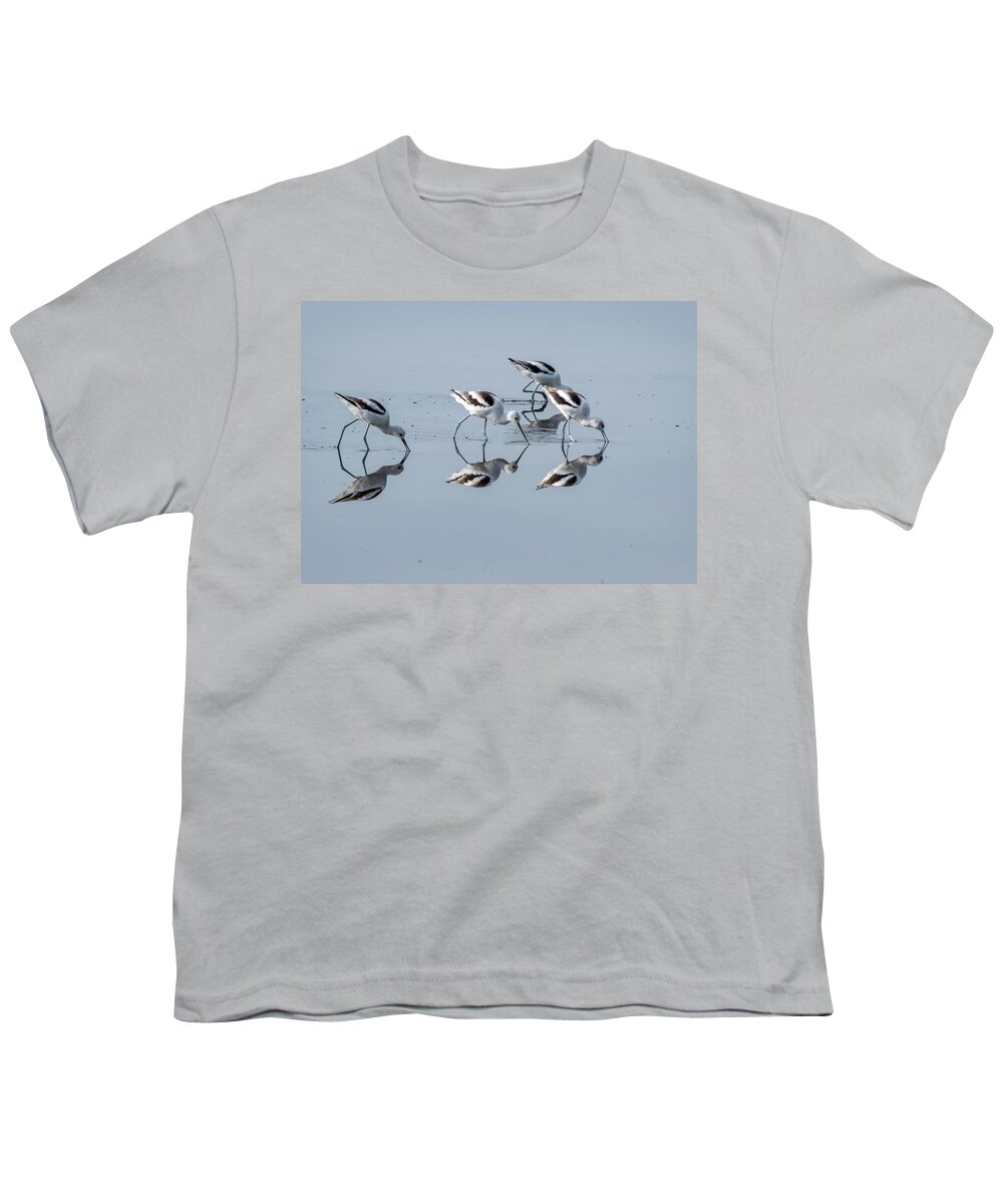 American Avocet Youth T-Shirt featuring the photograph American Avocet Flock and Reflection by Bradford Martin