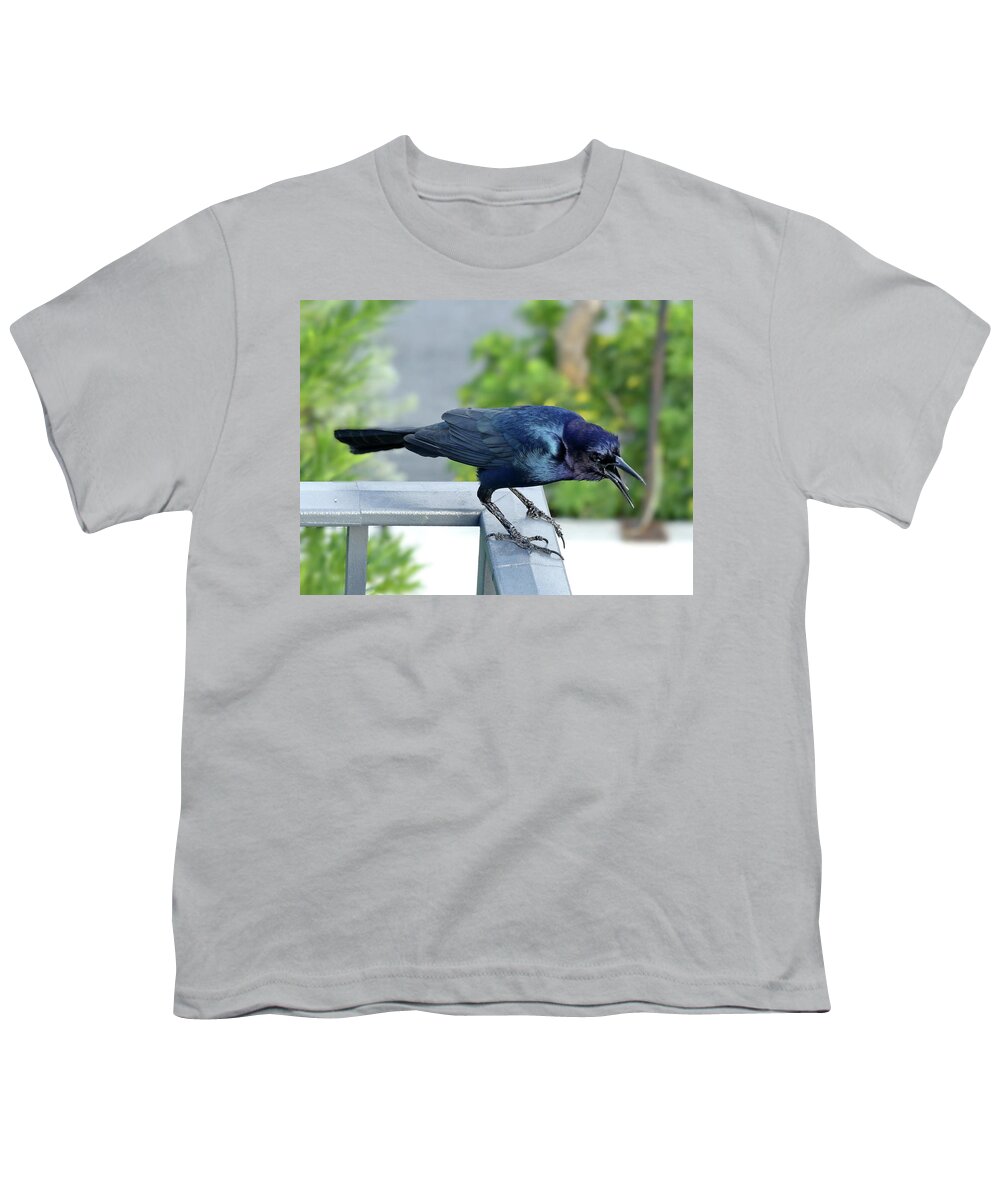 Boat-tailed Grackle Youth T-Shirt featuring the photograph Angry Grackle by Lyuba Filatova