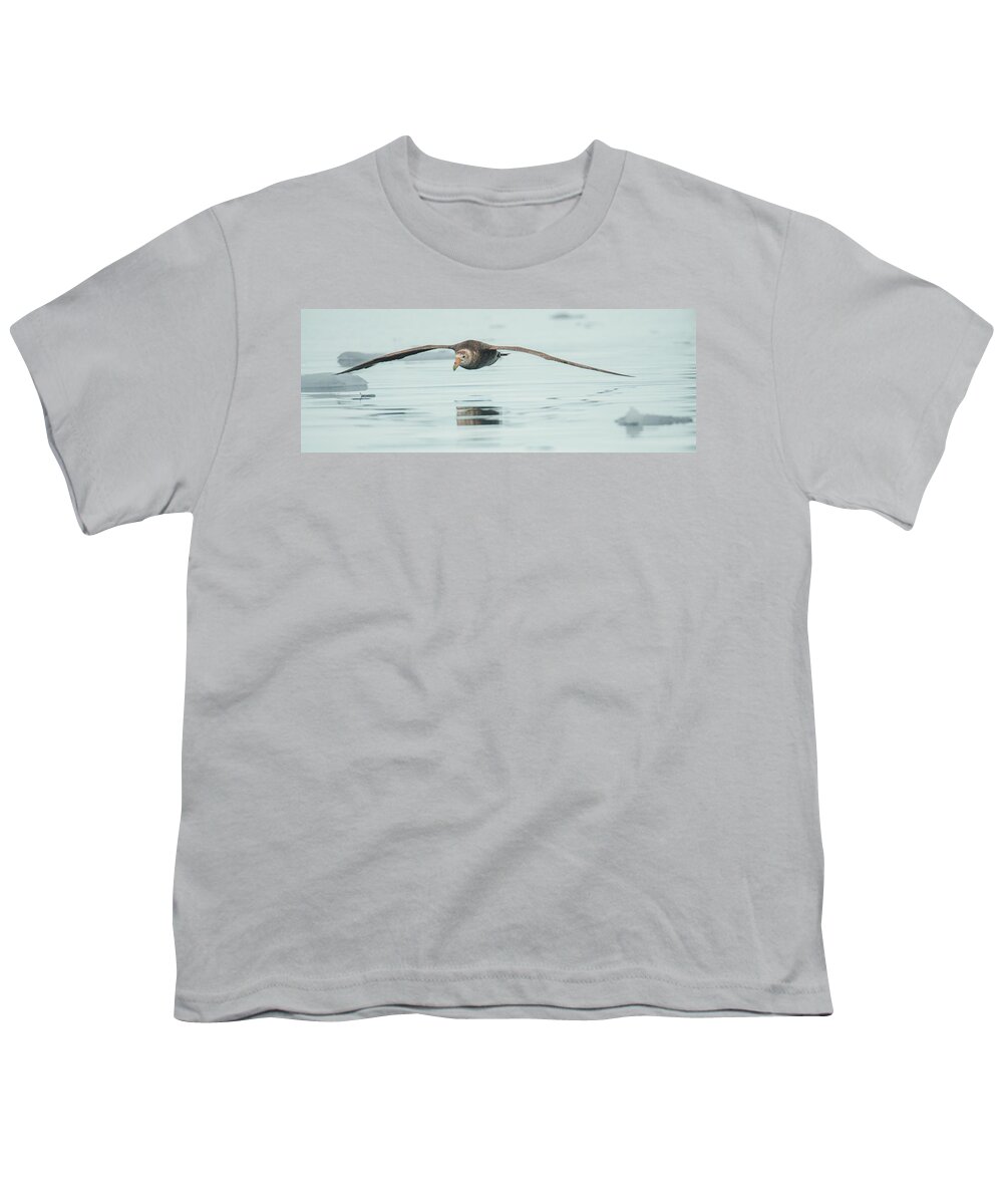05feb20 Youth T-Shirt featuring the photograph Antarctic Giant Petrel Low Level Over Fournier Bay by Jeff at JSJ Photography