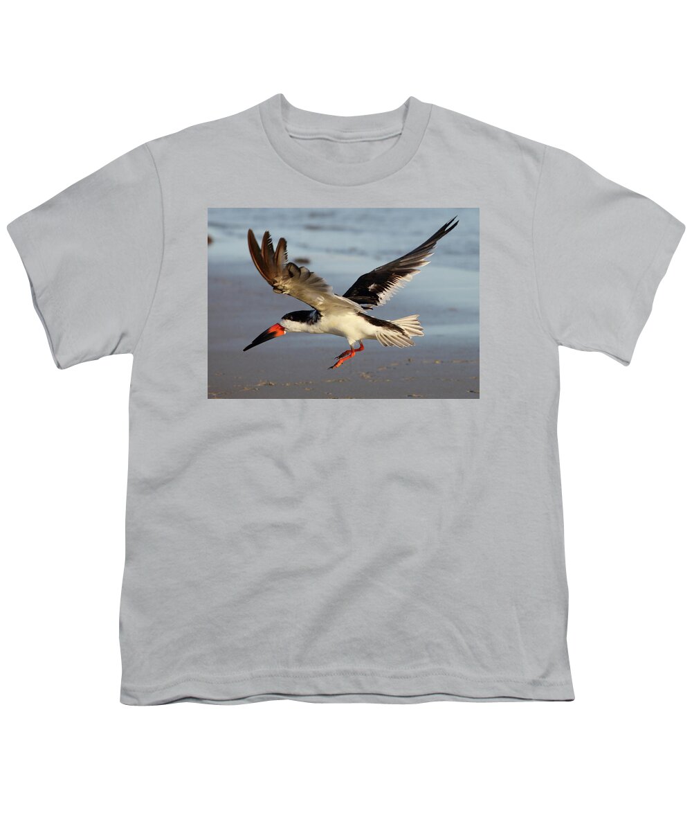 Black Skimmers Youth T-Shirt featuring the photograph Back Skimmer in Flight by Mingming Jiang