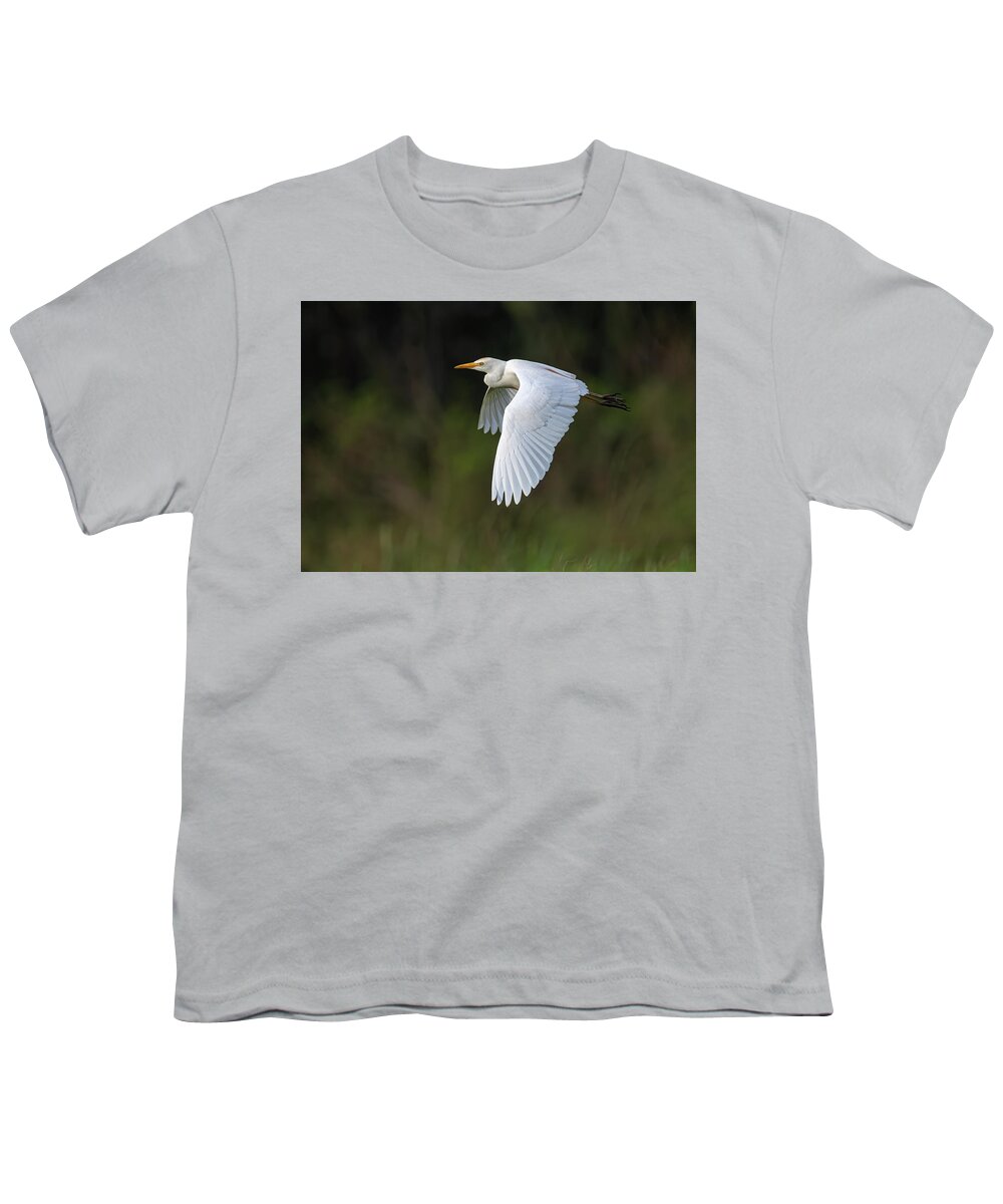 Cattle Egret Youth T-Shirt featuring the photograph Cattle Egret in flight by Rick Mosher