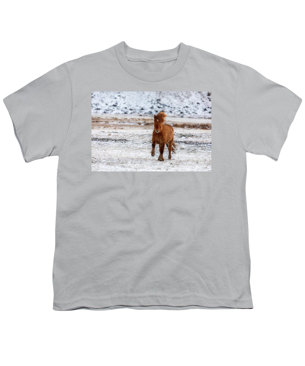 Running Youth T-Shirt featuring the photograph Chestnut Icelandic horse running across a frozen and snowy meado by Jane Rix