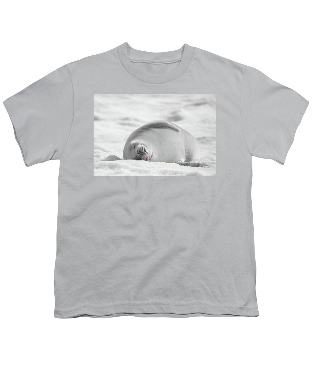 04feb20 Youth T-Shirt featuring the photograph Crabeater Seal Frozen Drool Pile BW-SC by Jeff at JSJ Photography
