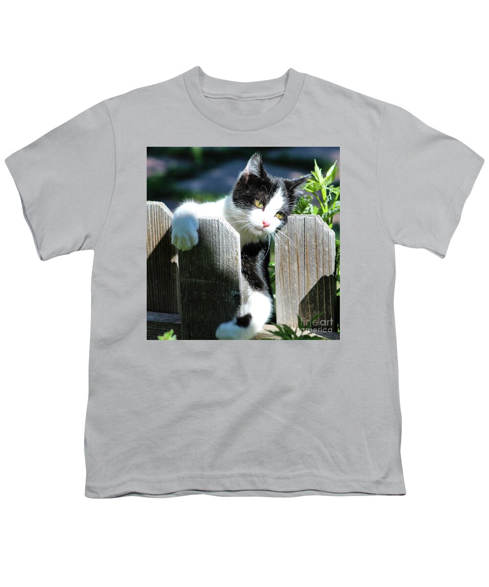 Kitten Youth T-Shirt featuring the photograph Cuddly Kitten by Shirley Dutchkowski