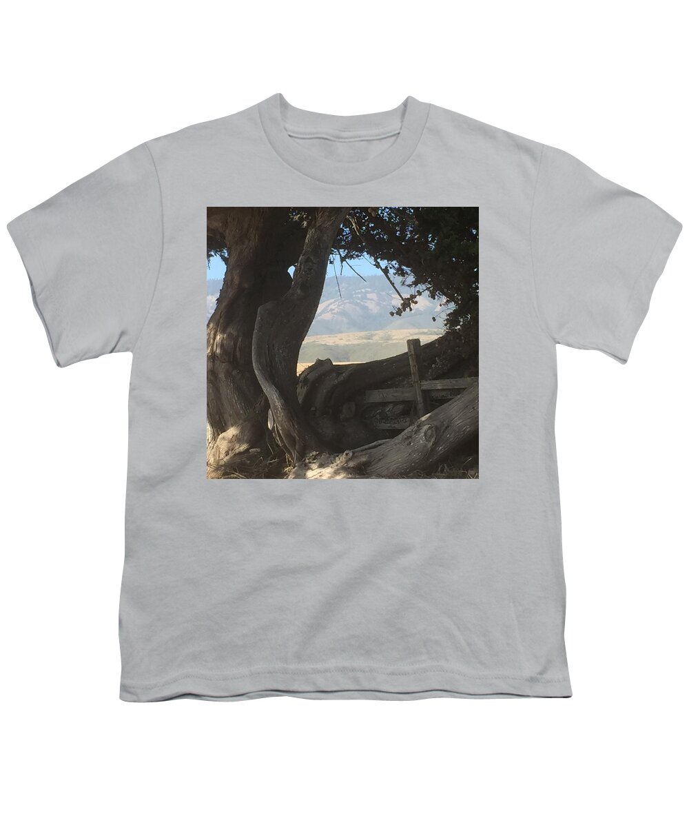 Trees Youth T-Shirt featuring the painting Cypress Trees Mountain View by Sandy Rakowitz