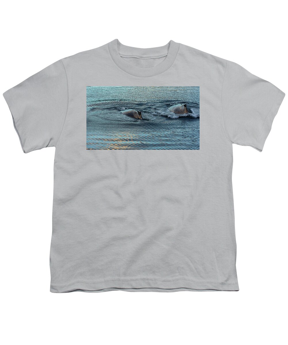 Alaska Youth T-Shirt featuring the photograph Double Hump Alaska by Nicholas McCabe