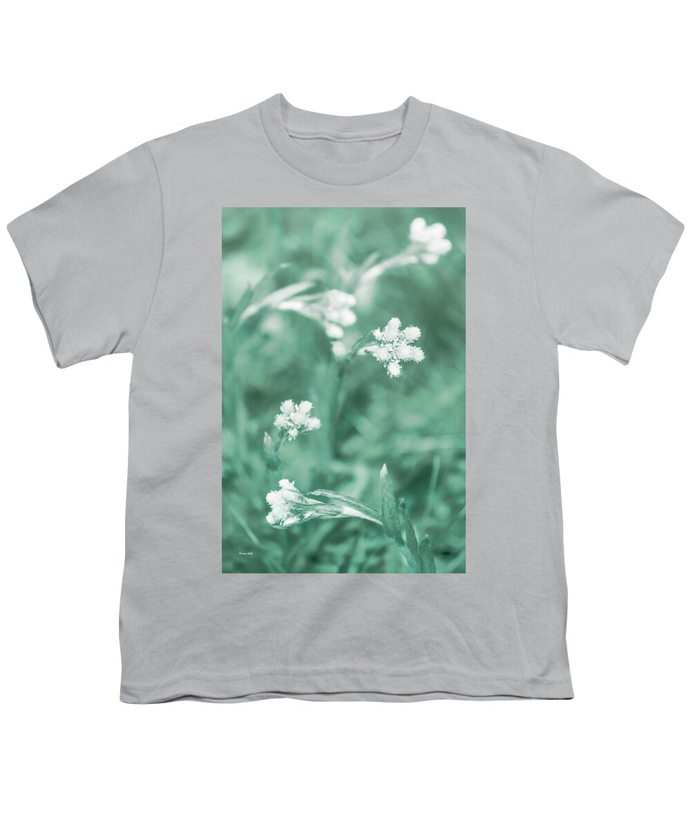 Flowers Youth T-Shirt featuring the photograph Everlasting Flowers by Christina Rollo