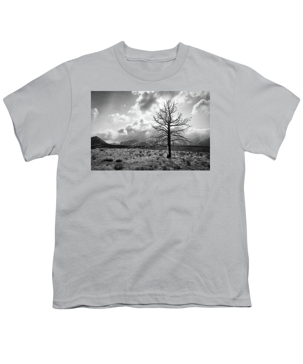 The Sierra Nevada Youth T-Shirt featuring the photograph Faithfully Standing by American Landscapes