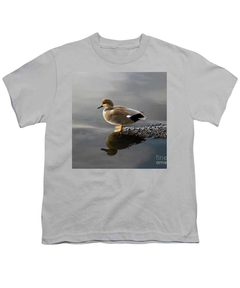 Gadwall Duck Youth T-Shirt featuring the photograph Gadwall Duck in the Morning by Sea Change Vibes