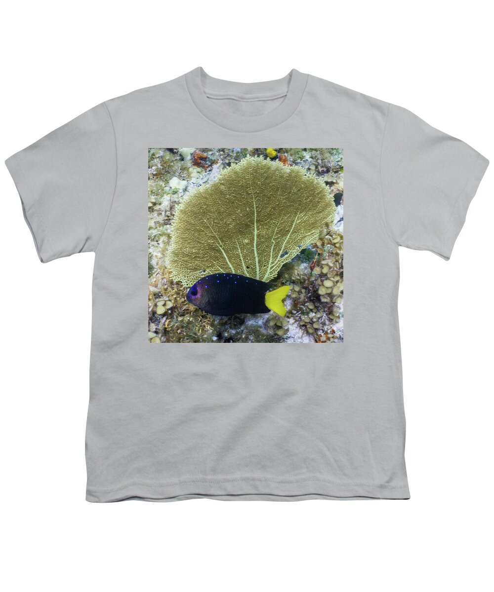 Animals Youth T-Shirt featuring the photograph Go Gorgonian by Lynne Browne