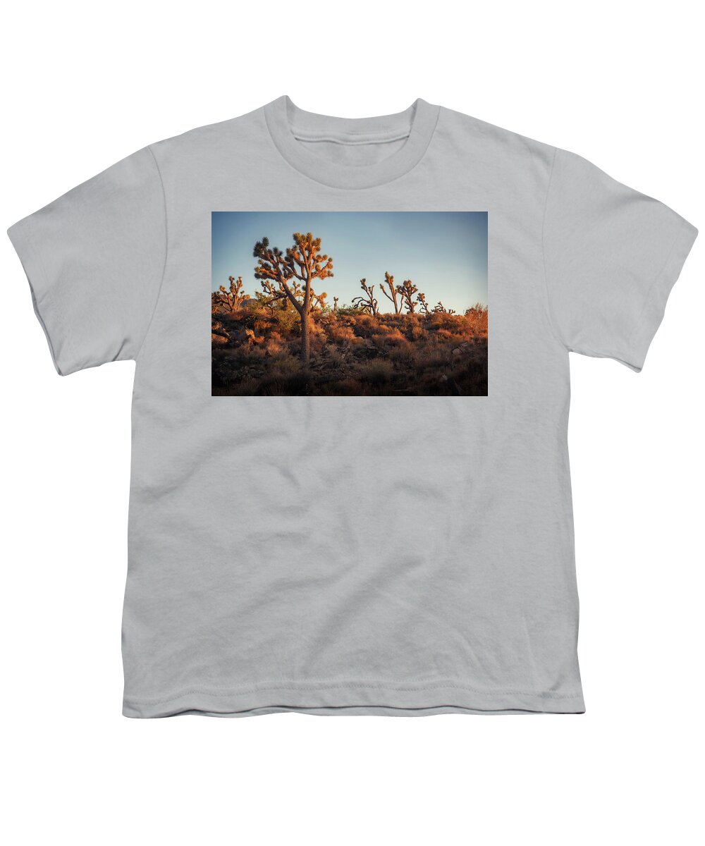 Joshua Tree National Park Youth T-Shirt featuring the photograph Golden Joshua Tree by Ray Devlin