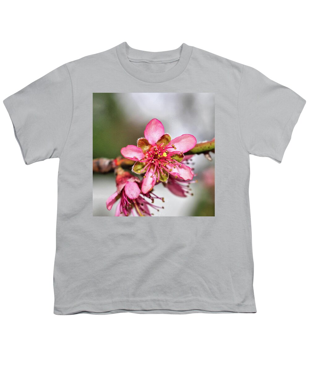 Newark Youth T-Shirt featuring the photograph Newark Cherry Blossom Series - 12 by Christopher Lotito