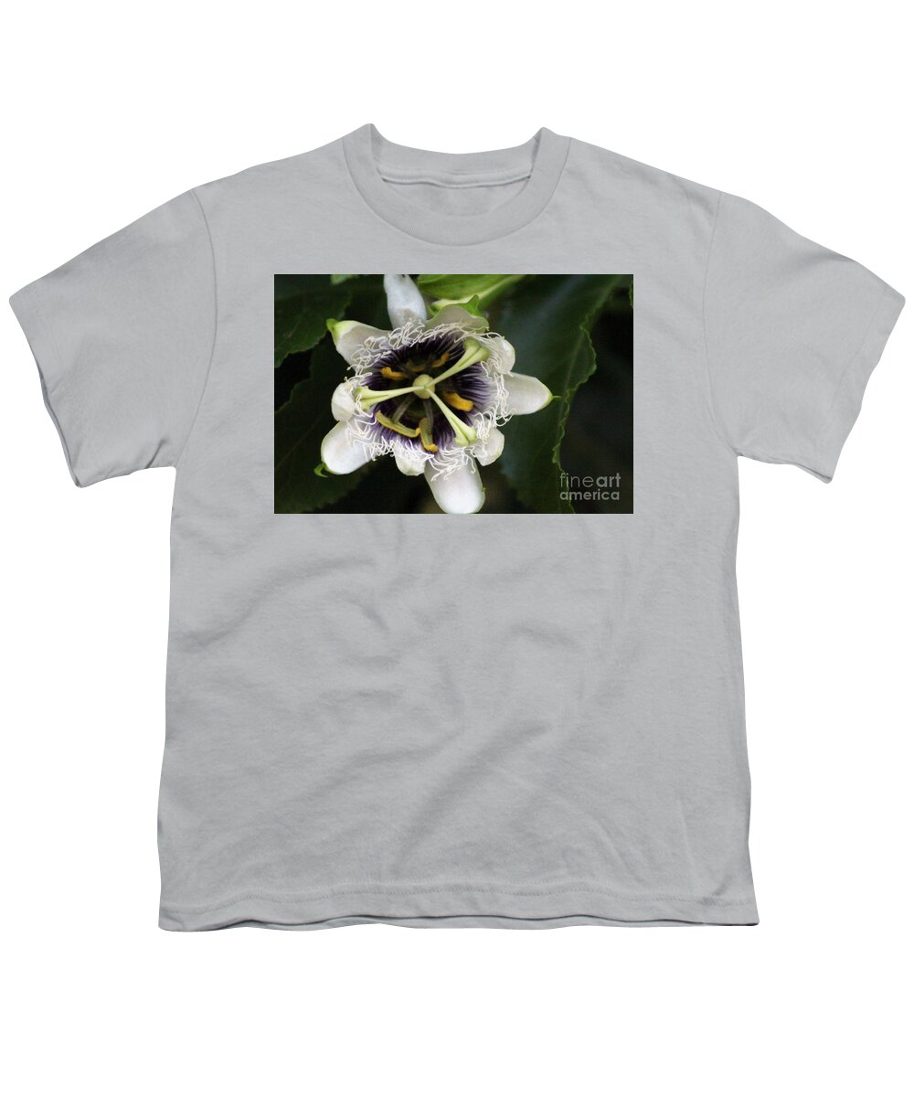 Passion Fruit Youth T-Shirt featuring the photograph Passion Flower Closeup 2 by Colleen Cornelius
