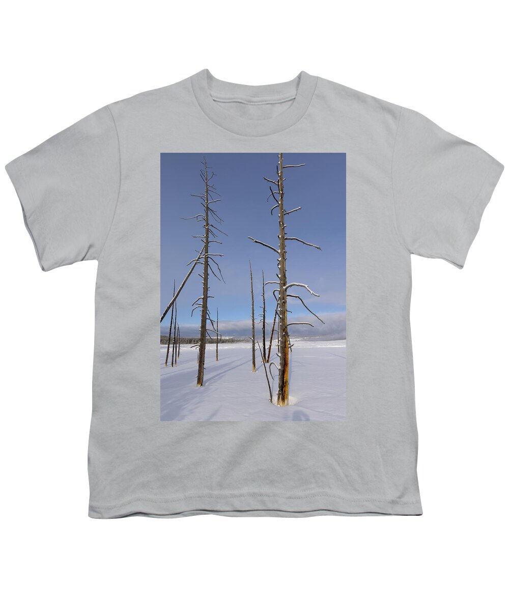 Yellowstone National Park Youth T-Shirt featuring the photograph Pole Pines in Yellowstone by Cheryl Strahl