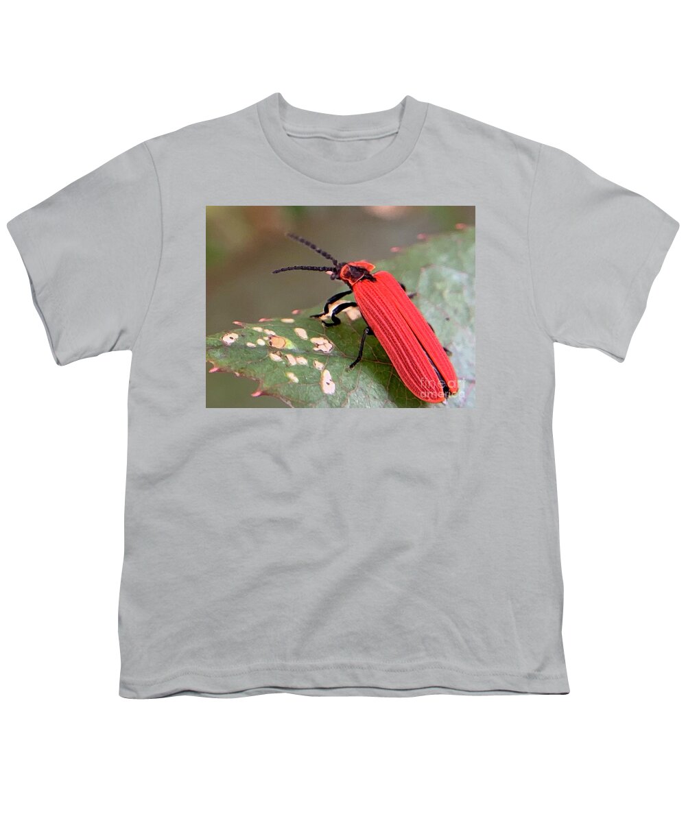 Insect Youth T-Shirt featuring the photograph Red Net Winged Beetle by Catherine Wilson