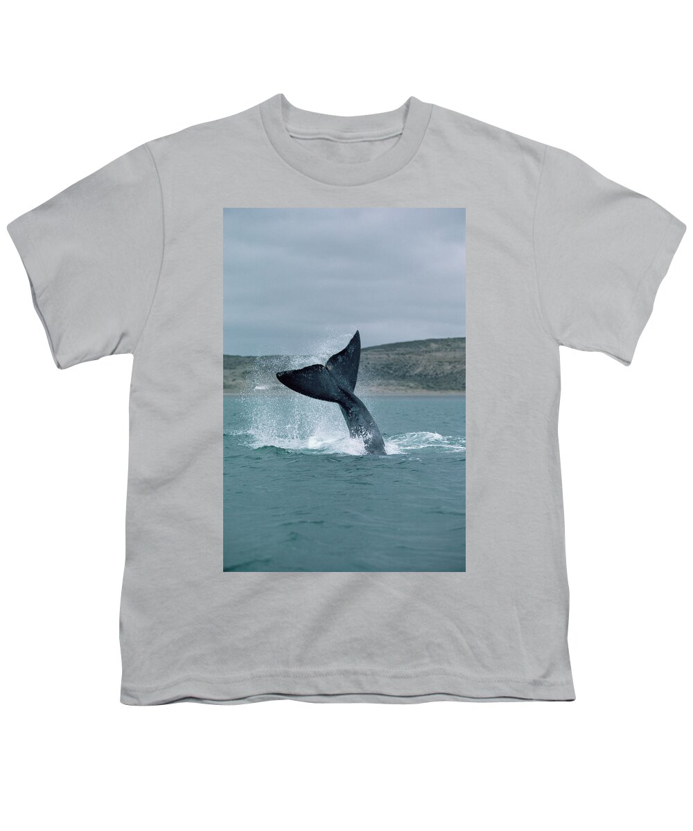 00083997 Youth T-Shirt featuring the photograph Right Whale Tail Lobbing by Flip Nicklin