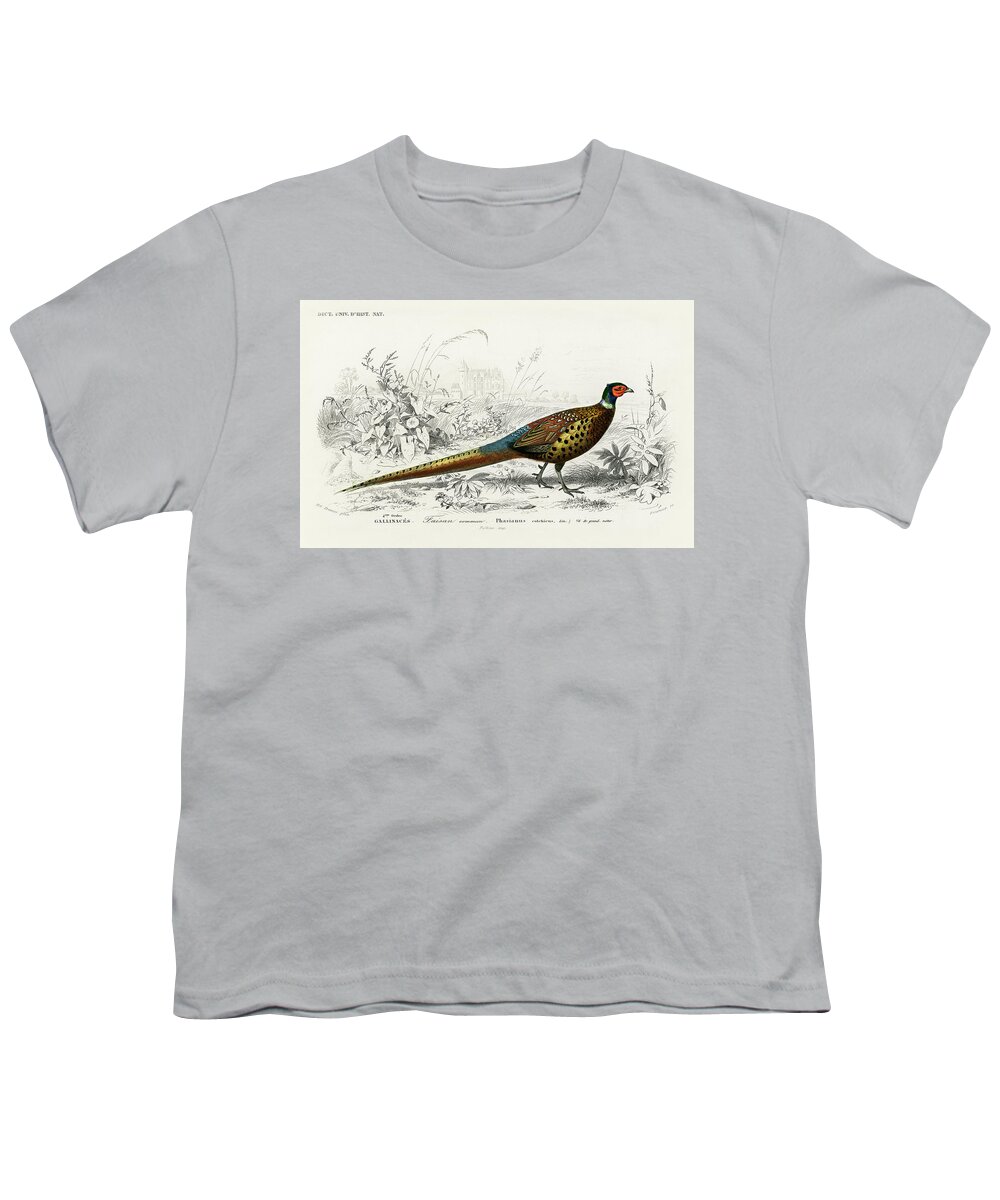 Ring-necked Pheasant Youth T-Shirt featuring the mixed media Ring-necked Pheasant by World Art Collective