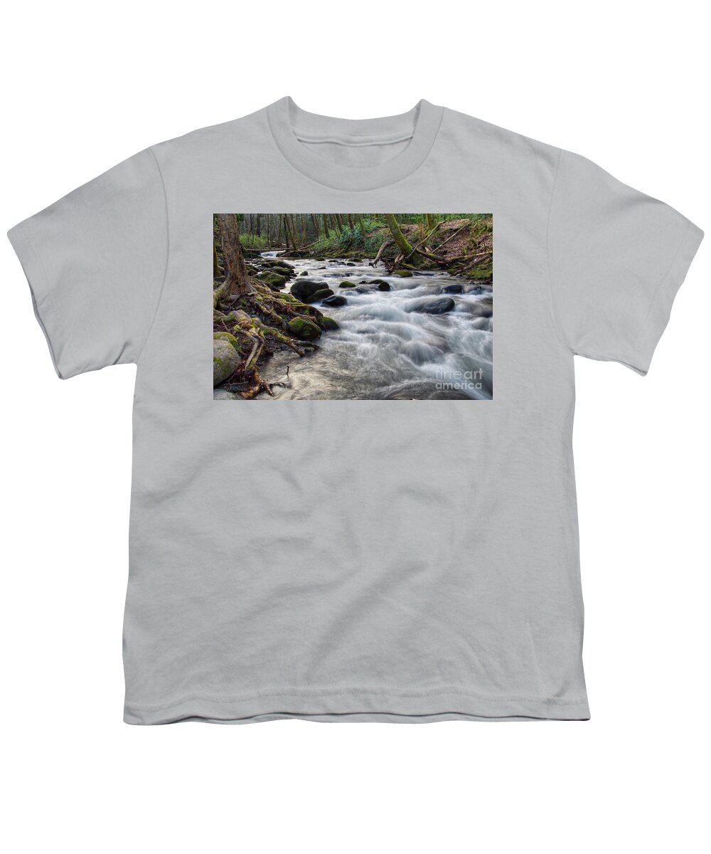 Smoky Mountains Youth T-Shirt featuring the photograph Roadside Creek 2 by Phil Perkins
