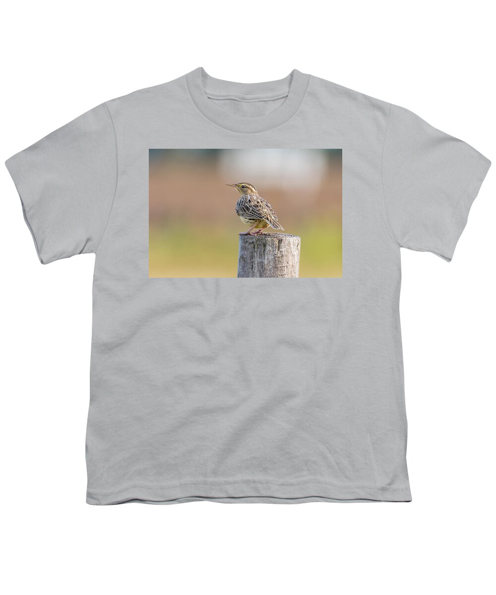 Autumn Youth T-Shirt featuring the photograph Roadside Meadowlark by Debra Martz