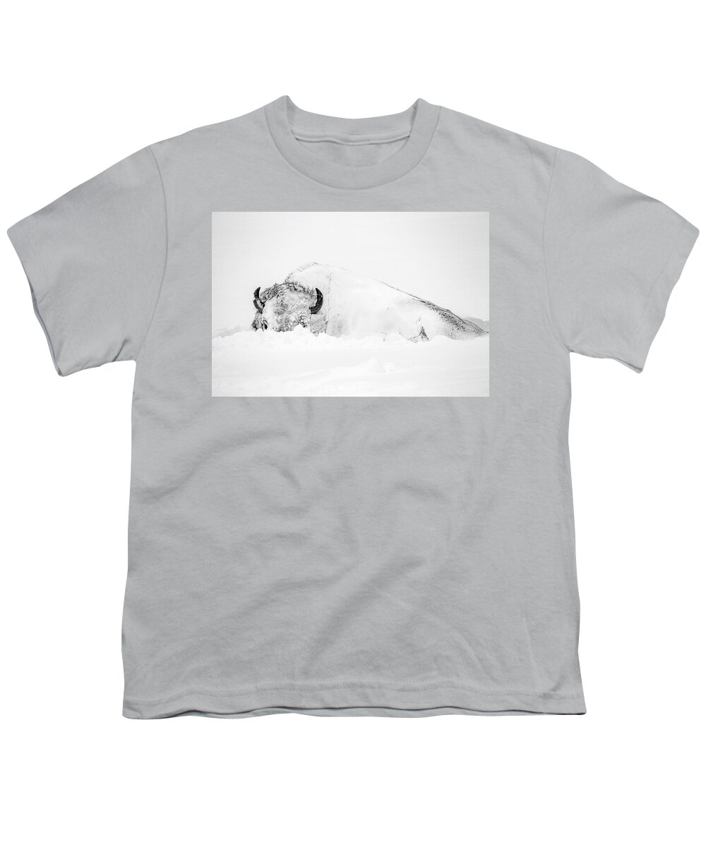 Snow Youth T-Shirt featuring the photograph Snowy Buffalo by D Robert Franz