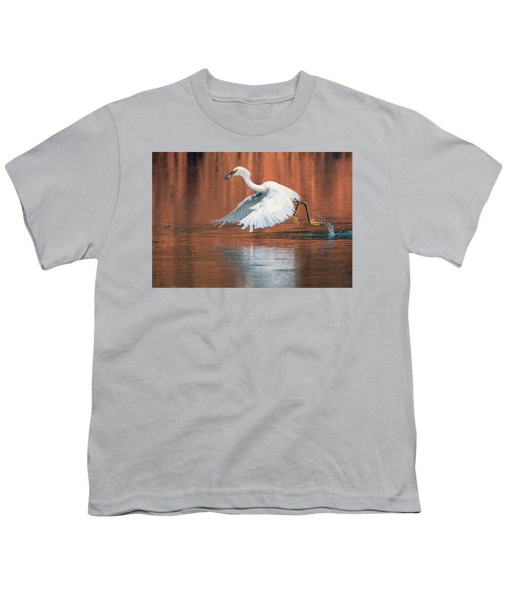 Snowy Egret Youth T-Shirt featuring the photograph Snowy Egret 7967-082520-2 by Tam Ryan