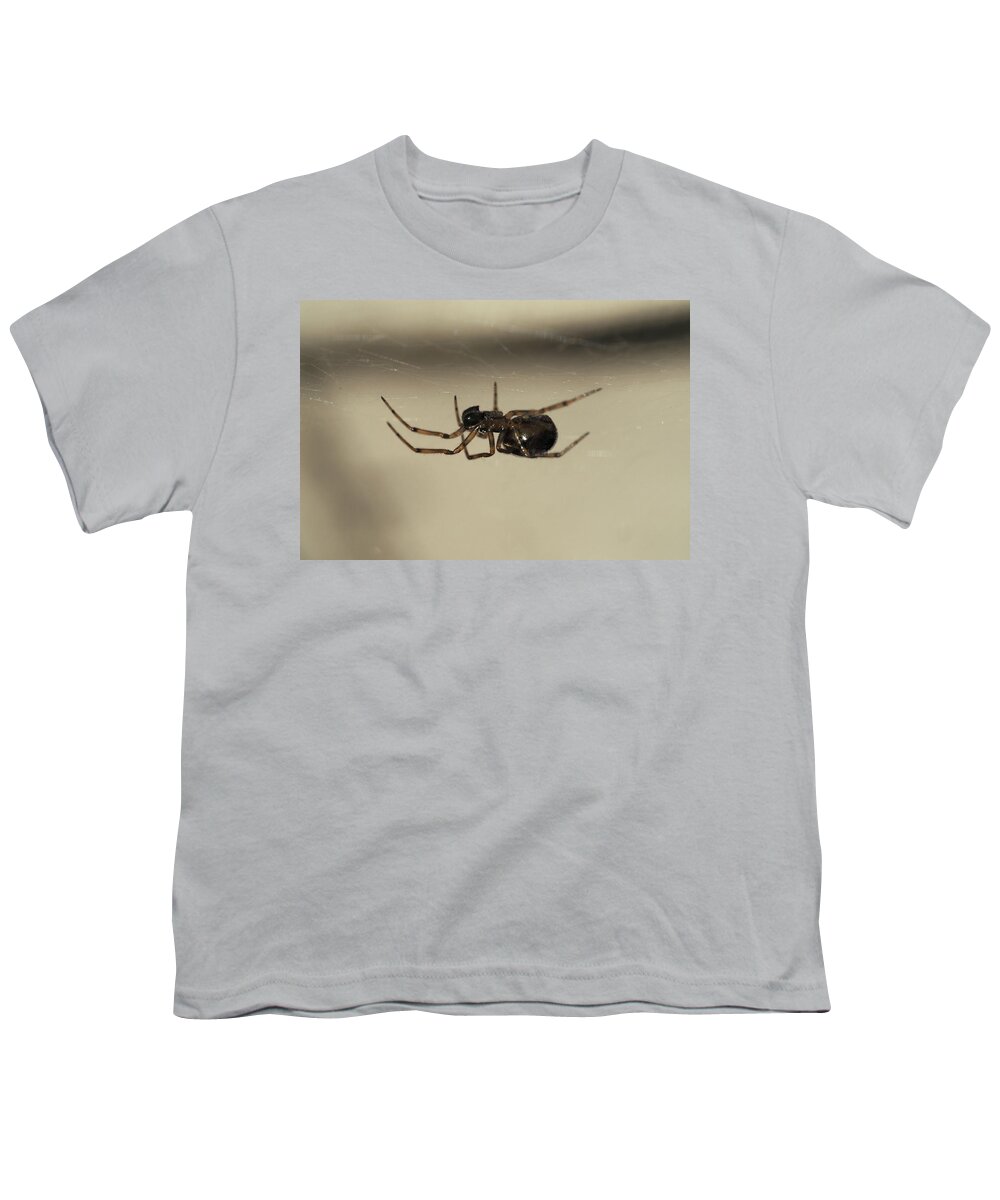 Spider Youth T-Shirt featuring the painting Spider under the web by Sv Bell