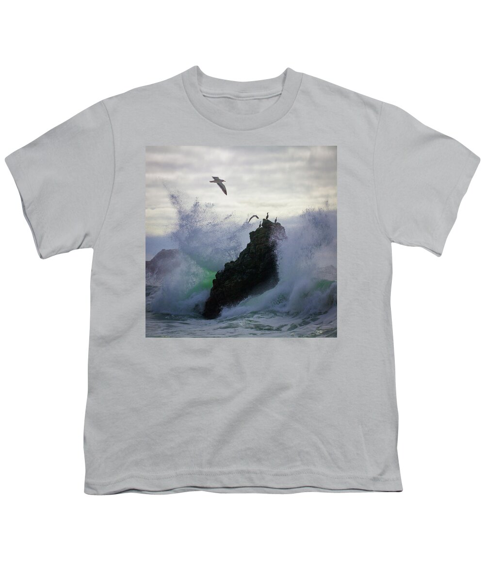 Splash Youth T-Shirt featuring the photograph Splash and flight by Donald Kinney